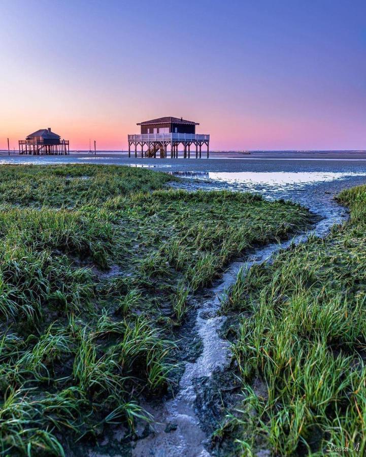 Au Coeur Du Bassin D'arcachon,tres Bel Avec Terrasse *