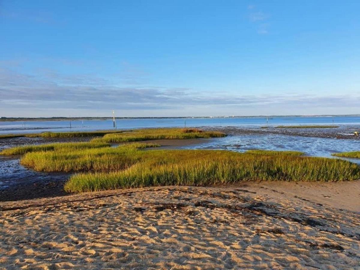 Apartment Au Coeur Du Bassin D'arcachon,tres Bel Avec Terrasse